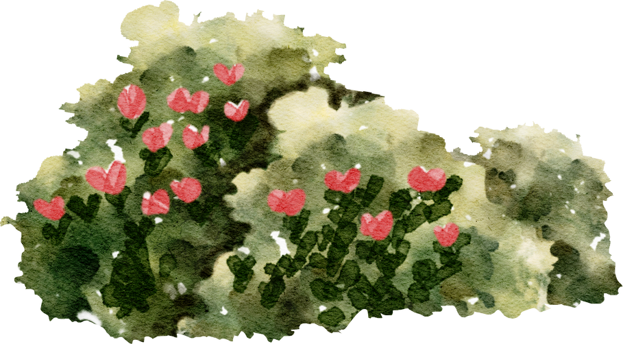 Flower bush watercolor